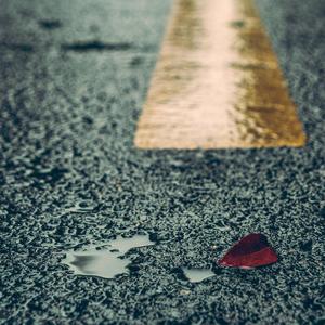 一级特黄高清毛片
