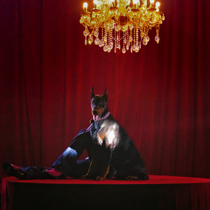 国产精品无码一区二区在线观一
