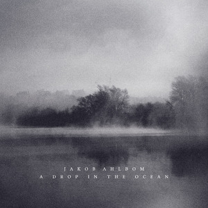 品爱阁登录入口
