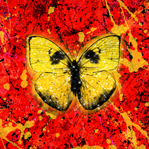 美女扒开内裤露黑毛无遮挡
