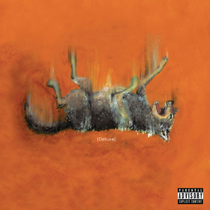 毛茸茸业余亚洲
