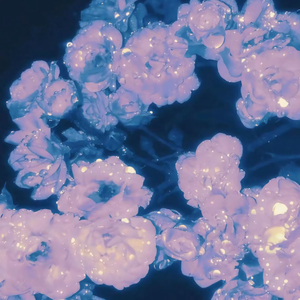 jizzjizzxxx女奥特曼jizzwwww
