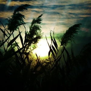 亚洲东京热无码AV
