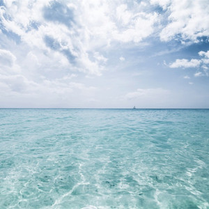 狂野欧美性猛交XXⅩ李丽珍
