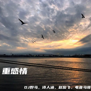 外网每日大赛视频
