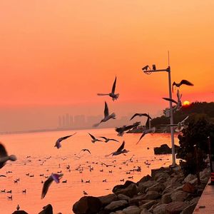 jizzjizzxxx女奥特曼jizzwwww
