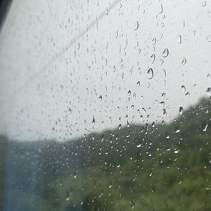 欧美老妇bbwxxxxssss
