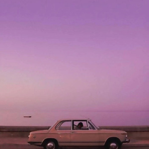 继夫(H)王虎柳青青
