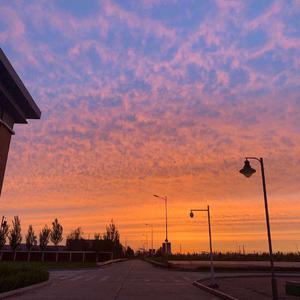 日逼逼逼视频免费观看
