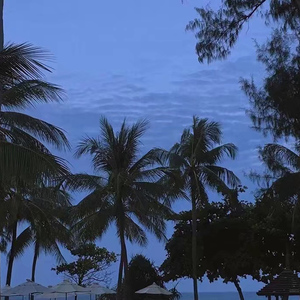 中国黄色免费视頻
