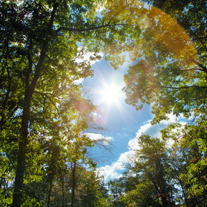 大雞巴麻麻亂倫
