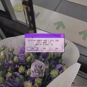 日逼逼逼视频免费观看
