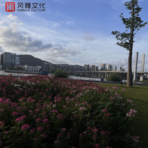 免费国产成人高清在线视频
