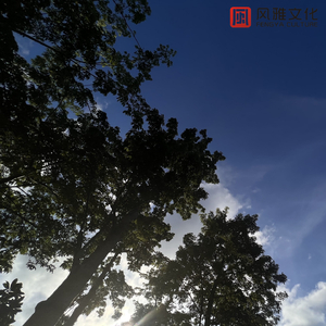 中国一老太婆偷伦
