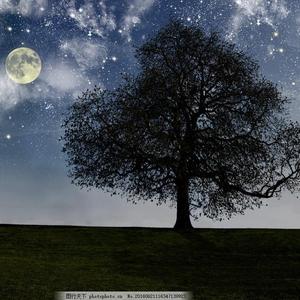 国产TS系列紫苑女仆装3p
