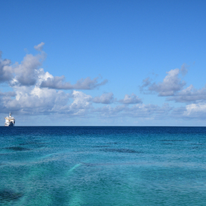 莫妮卡被黑人扒开双腿猛进
