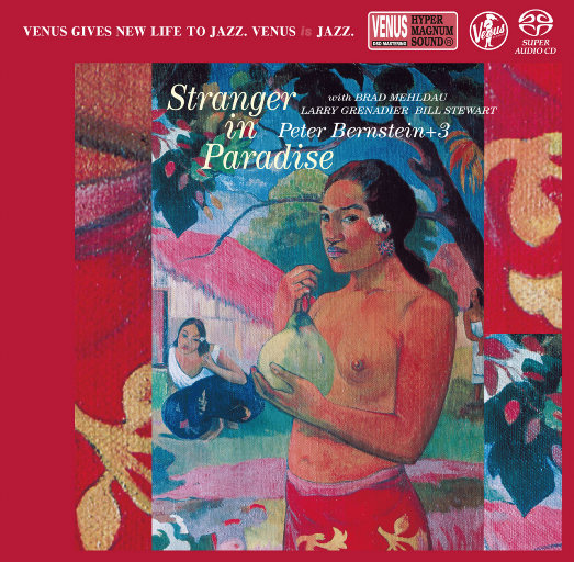 欧美成人男同视频网站
